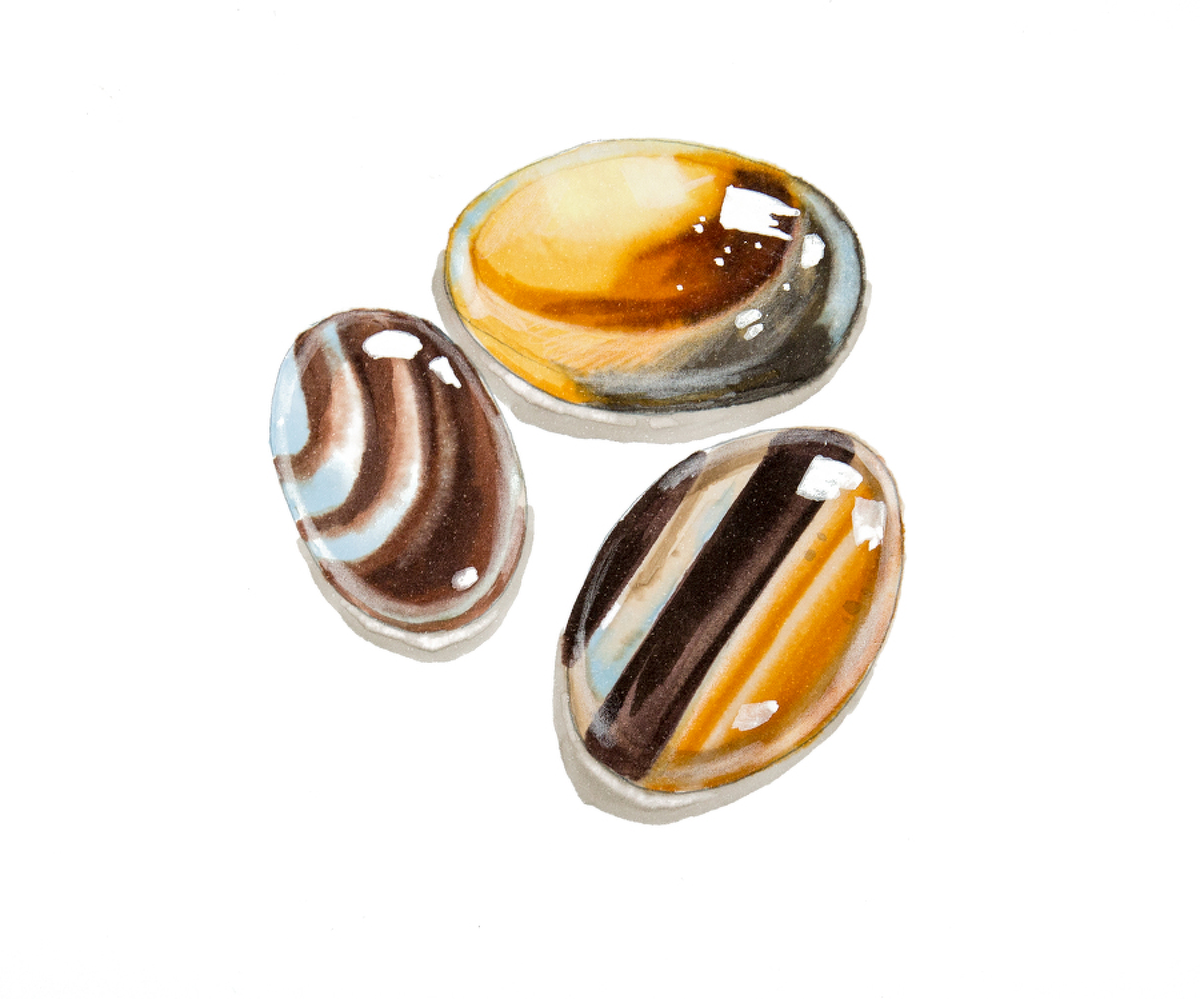 Полированный камень. Скетчинг - Расторгуева (2017)_0.png